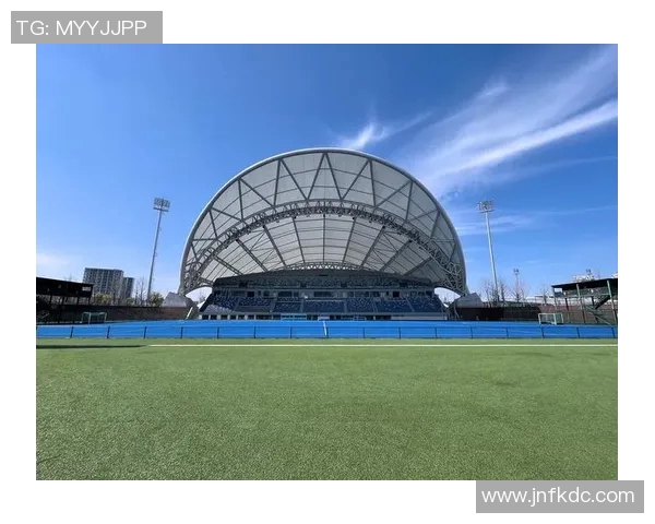 球场中心，聚焦激情与荣耀：探索体育竞技背后的精神与力量