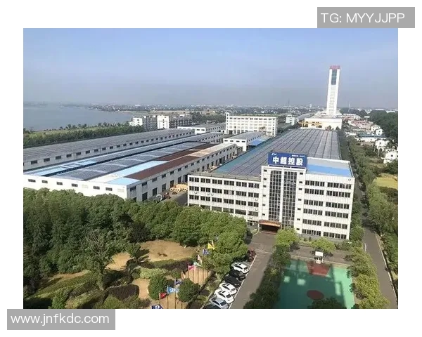 山东魏桥创业与江苏中超电缆的竞争与合作探讨分析